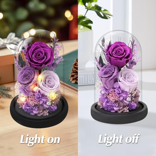 Casaido Preserved Roses Flowers for Delivery, Mothers Day Rose Gifts for Mom Her, Purple Forever Flores in Glass Dome for Wife Girlfriend Grandma, Anniversary Birthday Gift for Vanlentines Christmas - Image 4