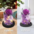Casaido Preserved Roses Flowers for Delivery, Mothers Day Rose Gifts for Mom Her, Purple Forever Flores in Glass Dome for Wife Girlfriend Grandma, Anniversary Birthday Gift for Vanlentines Christmas - Image 4