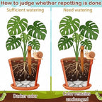 Set of 12 Cute Worms Plant Water Meter, Soil Moisture Indicator - Image 3