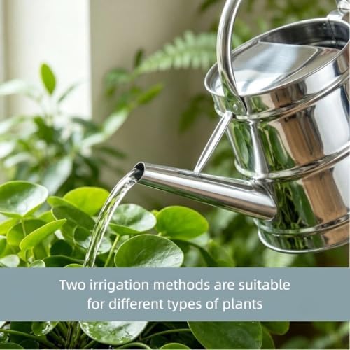 2.4 Gallon Stainless Steel Meltal Watering Can for Outdoor & Indoor Garden - Image 4