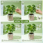 17 oz Extra Large Plant Watering Globes, 4 Pack Self Watering Globes - Image 4