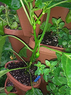 Mr. Stacky 10 Large 18x18x6 inch Vertical Gardening Stackable Planters - Terracotta Color - Image 6