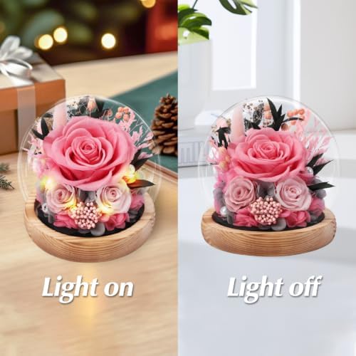 Casaido Preserved Roses Flowers for Delivery, Mothers Day Rose Gifts for Her, Pink Forever Flores in Glass Dome for Women Mom Wife Girlfriend, Anniversary Birthday Gift for Vanlentines Day Christmas - Image 4
