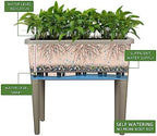Dexceder 13.2 Gallon Self Watering Raised Garden Bed (Light Brown) - Image 2