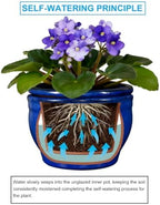 Self Watering Pot for African Violets Indoor Outdoor Plants, 6 inch, Blue - Image 5