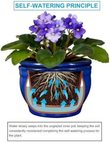 Self Watering Pot for African Violets Indoor Outdoor Plants, 6 inch, Blue - Image 5