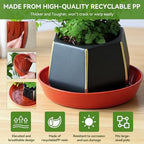 15 Pack Plant Trays for Pots 1.5" Deep Plant Saucers, Heavy Duty 8" 10" 12 inch Plant Tray Bulk Thickened Plant Plates to Catch Water, Durable Plant Saucer Flower Pot Accessories - Image 5