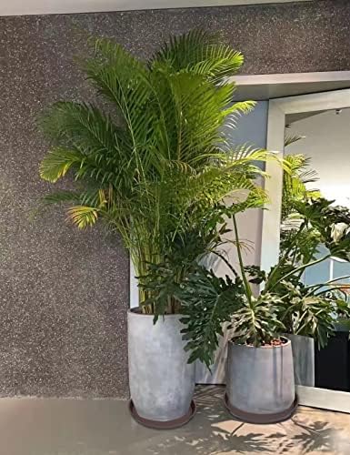 4 Pack of 18 19 inch Plant Saucer Drip Tray (16.6 inch Base), Heavy Duty Deep Plant Saucers for Pots, Plastic Flower Planter Water Trays for Indoors Outdoor (19", Dark Brown) - Image 4