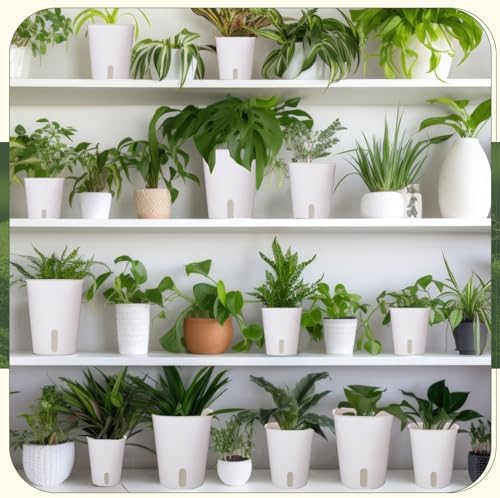 Ziliny 18 Pcs Self Watering Pots Plastic Plant 3 Sizes Flower Plant Pot with Inner White Flower Pots for Indoor House Plants Plastic Self Watering Pot for Herbs Flowers (Xs,S,M) - Image 6