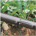 1pcs 16mm Drip Irrigation Hose, for Fruit Tee Greenhouse Irrigation Pipe Drip Tape Micro Irrigation System Drip Irrigation Hose 5m~100m (Color : Space 400mm, Size : 50meters (164ft)) by Unknown