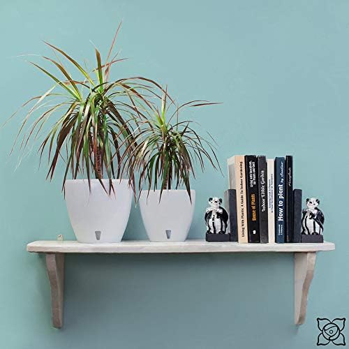 Gardenera 6.7" Deco Self Watering Pots for Indoor Plants in Cream (Set of 3) - Decorative Flower Pot with Water Level Indicator and Drainage Cartridge for All House Plants, Flowers and Herbs - Image 5