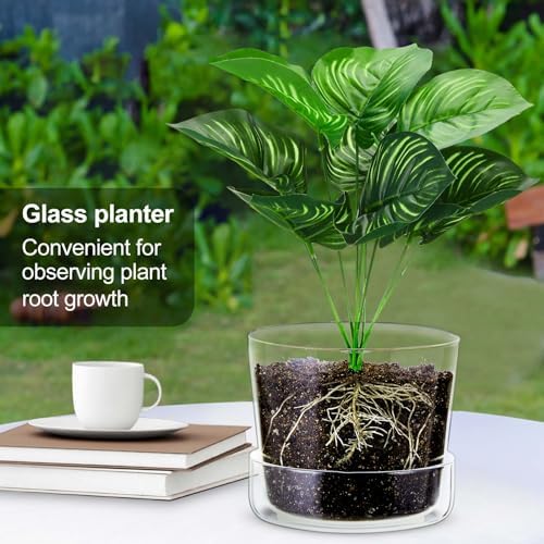 2 Sets 6 Inch Glass Planter with Drainage Hole and Tray Indoor Clear Plant Pots with Saucer Modern Decorative Orchid Glass Pot for Outdoor Flower Plants - Image 3