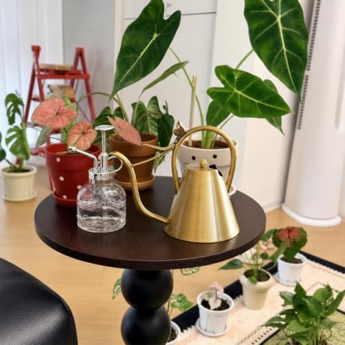 Brass Gold Watering Can for Indoor Plants and Garden - Image 7