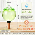 Self Watering Globes – Extra Large, 25.4 fl oz, Terracotta Spikes - Image 2