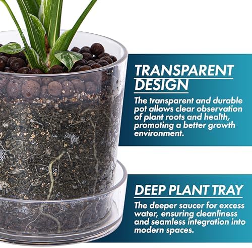 Phoenix Vine 6.5 Inch Clear Acrylic Planter Pot with Tray, Orchid Pot with Drainage Holes, Deep Saucer for Bottom Watering, Transparent Containers for Indoor Plants, Herbs, Set of 4, 91-A-F-4 - Image 4