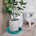 4 Pack Plant Saucer 14 inch, Plastic Plant Saucers for Indoors, Raised Middle Plant Trays for Pots, Water Tray for Plants, Plant Stand Water Catcher Tray, Pot Saucers for Plants - Image 5