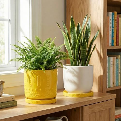 Eightpot Plant Water Catcher Tray 7.5 Inch, 2 Pack Ceramic Plant Saucers for Indoors Outdoors, Round Plants Plates to Catch Water, Modern Decorative Plants Dishes to Catch Water, Yellow - Image 6