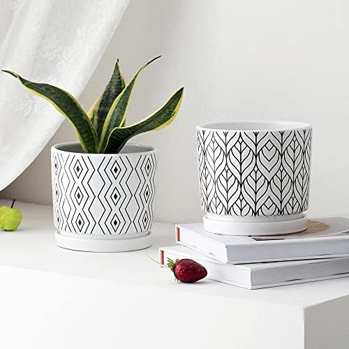 Plant Pots,5.5 Inch White Pots for Indoor Plant with Drainage Hole Set of 4 - Image 6