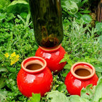 COOLHOOD Self-Watering Plant Watering Globes for Houseplants - Image 6