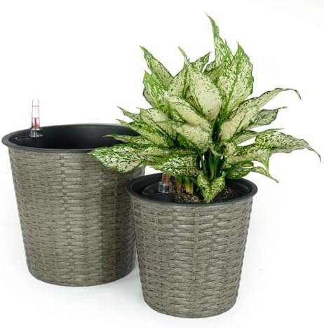 2-Pack Self-Watering Wicker Planters, 13.4 Inch, Gray by Noeko