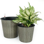 2-Pack Self-Watering Wicker Planters, 13.4 Inch, Gray by Noeko