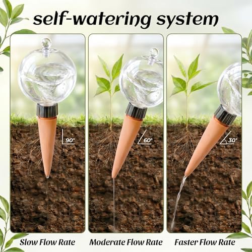 6 Pack 26 oz Extra Large Plant Self Watering Globes to 3 Weeks Watering - Image 6