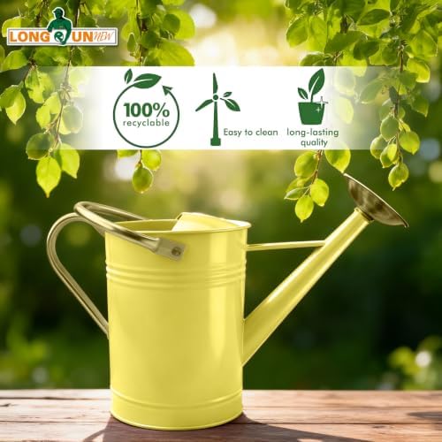 Gold Galvanized Iron Watering Can for Indoor Plants, DIY Watering Cans for House Plant Garden Flower, Long Spout Water Can for Outdoor Watering Plants 6.44L 1.7Gallon (Beige) - Image 6