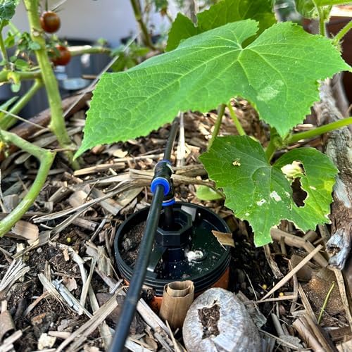 Thirsty Earth: CottaCup Automatic Olla Watering System for Your Garden (6 Cup Kit) - Image 6