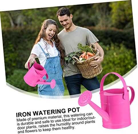 Multi-use Iron Art Watering Pot for Indoor Outdoor Plants Garden Sprayer for Succulents and Air Plants Red Spray Bottle Suitable for Household Gardening - Image 6