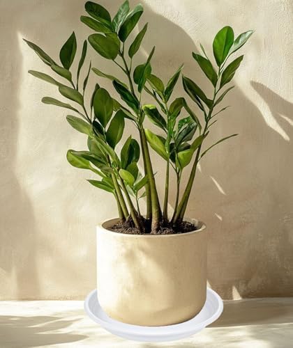 2 Pack of 22 inch Plant Saucer, Large Plant Tray, Heavy Sturdy Plant Drainage Tray for Indoors, Bird Bath Bowls, Sturdy 18 inch Plastic Pot Tray for Planter 19 20 21"(White) - Image 3