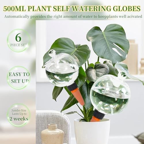 6pcs Plant Self Watering Globes with Covers, Plastic Water Bulbs Top Fill, Plant Watering Devices System Slow Release Terracotta, Water Spikes Stakes for Indoor (6) - Image 4