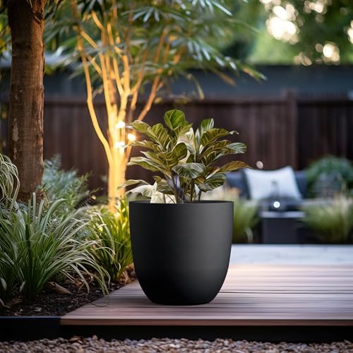 Kante Large Round Bowl Black Concrete Planter 18" Dia, Outdoor - Image 3