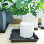 NIMYAU Square Plant Saucer 16 Inch 2 Pack, Plant Stand Plant Trays for Pots Heavy Duty Plastic Plant Saucers for Indoors Outdoors, Flower Pot No Holes Plant Lover Gardening Gifts - Image 7