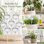 6 Pcs Plant Watering Globes, Glass Self-Watering Globes, Guava-Shaped, Automatic Irrigation Bulbs for Indoor Outdoor Potted Plants - Image 5