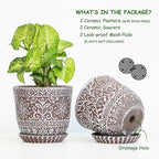 Gepege Ceramic Plant Pots, 6 Inch Indoor Planters with Drainage & Saucers - Image 2