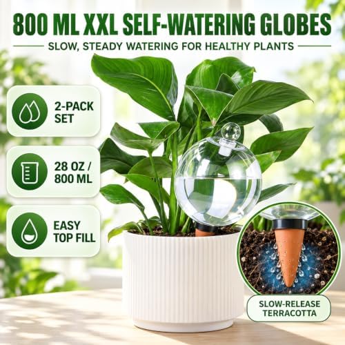 2 Pack 28 oz XXL Extra Large Self Watering Globes to 3+ Weeks Watering - Image 5