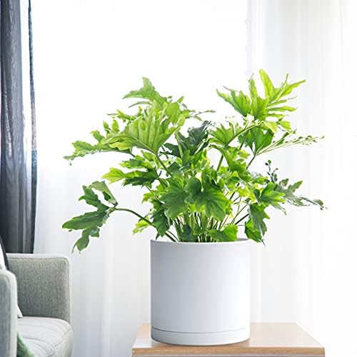 D'vine Dev Plastic Planter Pot with Saucer, 10 in, White Color, 74-X-A-2 - Image 5