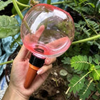Automatic Plant Watering Globes 500ML Top Fill Drip Irrigation (Pink, 1pc) - Image 5