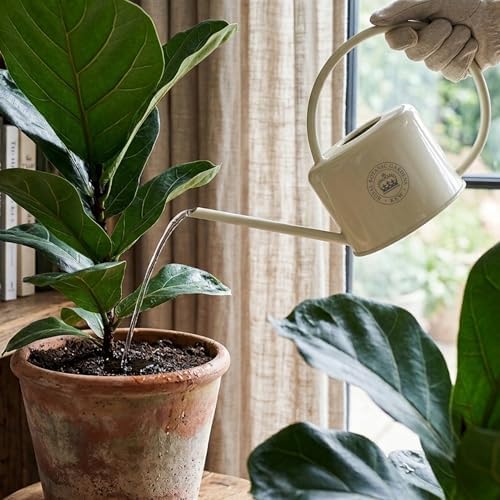 Spear & Jackson Kew Gardens Urban Oasis Collection 1LWCKEWC 1 Litre Compact Watering Can - 1L - Rich Cream - Image 5