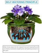 Self Watering Pot for African Violets Indoor Outdoor Plants, 6 inch, Green - Image 5