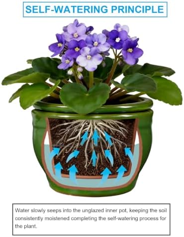 Self Watering Pot for African Violets Indoor Outdoor Plants, 6 inch, Green - Image 5
