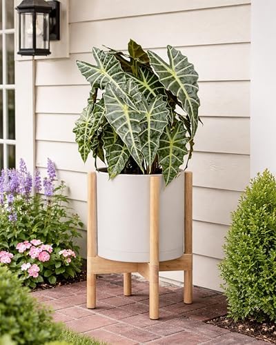 D'vine Dev Plastic Pot with Natural Wood Stand, Oatmeal, 10 in, 55-C-M-4 - Image 4