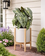 D'vine Dev Plastic Pot with Natural Wood Stand, Oatmeal, 10 in, 55-C-M-4 - Image 4