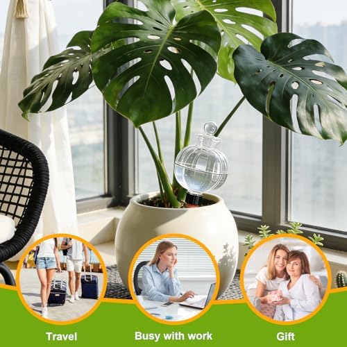 18 Oz Large Plant Watering Globes & Self Watering Bulbs, Water Globes & Bulbs for Indoor Outdoor Plants, Plant Globes Feeders for Watering Plants While Away & On Vacation 4-Pack - Image 6