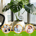 18 Oz Large Plant Watering Globes & Self Watering Bulbs, Water Globes & Bulbs for Indoor Outdoor Plants, Plant Globes Feeders for Watering Plants While Away & On Vacation 4-Pack - Image 6