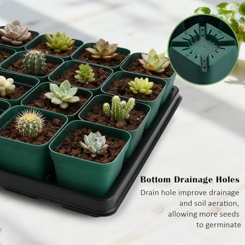 RooTrimmer 2.8 inch (7CM) Square Nursery Pots 120pcs (Green) and 24 Cell Nursery Pots Trays 5 Pack, Plastic Seedling Starter Tray with Drain Holes for Carrying and Holding Plant Pot(17"x11"x1.6") - Image 6