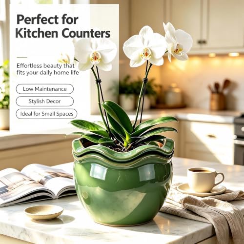 Self-Watering Ceramic Pot for African Violet Indoor Plants - Image 3
