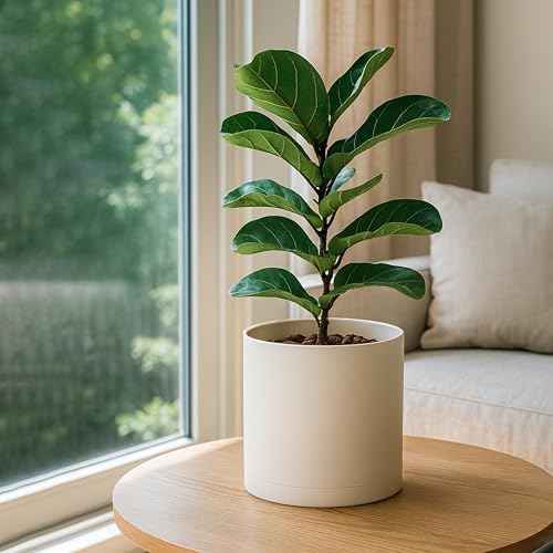 D'vine Dev Plastic Planter Pot with Saucer, 10 in, Oatmeal, 74-X-H-2 - Image 7