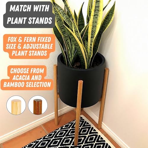 Fox & Fern Large Planter for Indoor or Outdoor, Black Matte, 8 Inch - Image 7