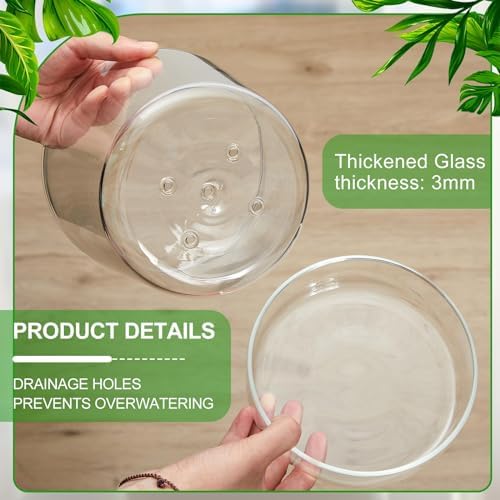 2 Sets 6 Inch Glass Planter with Drainage Hole and Tray Indoor Clear Plant Pots with Saucer Modern Decorative Orchid Glass Pot for Outdoor Flower Plants - Image 4